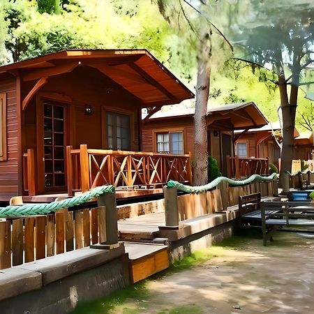 Green House Uzungol Trabzon Ngoại thất bức ảnh